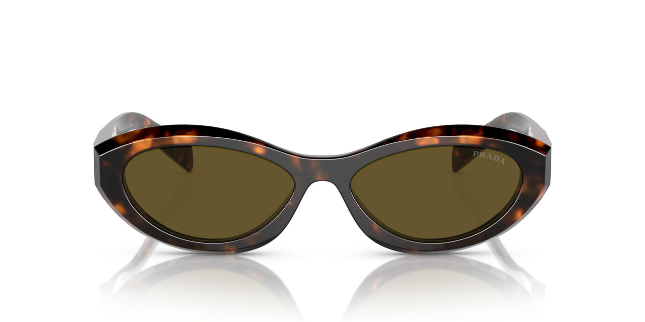 14L09Z - Green - Dark Brown