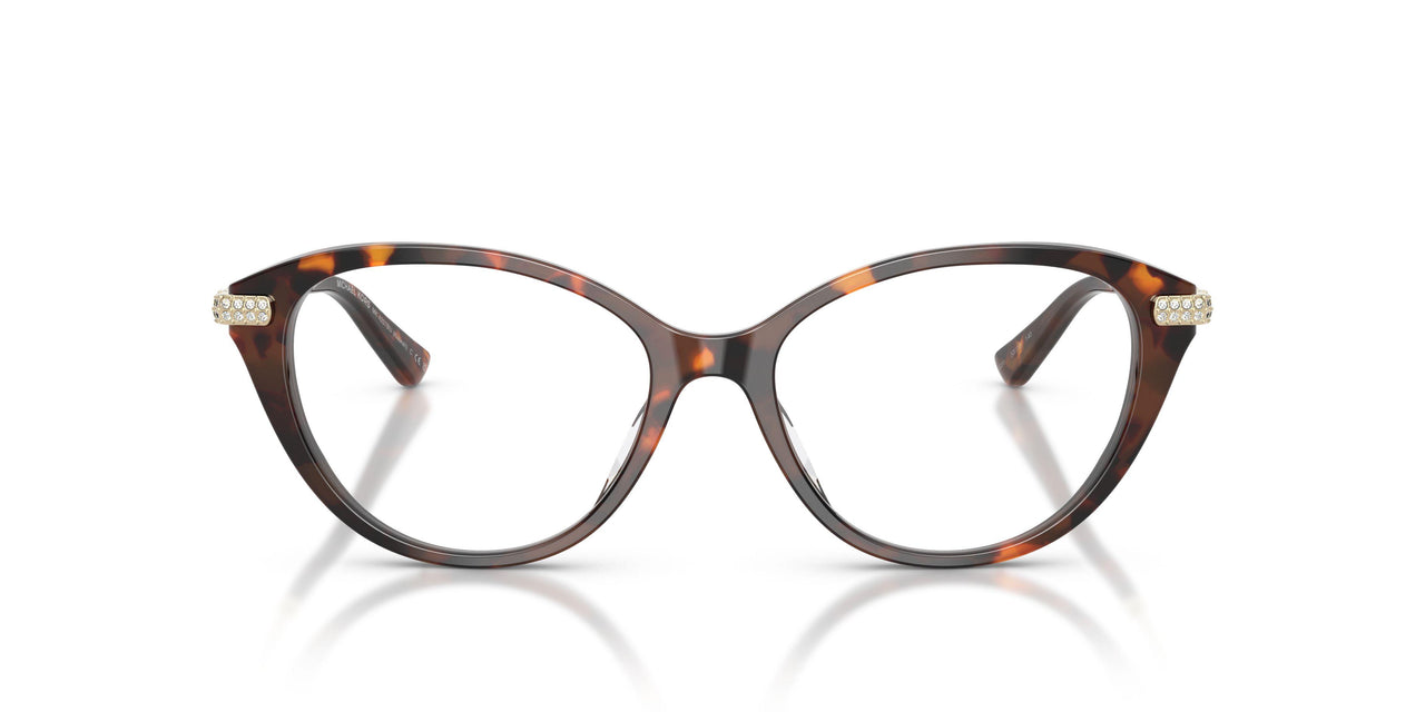 4031 - Tortoise