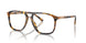 5134 - Tortoise