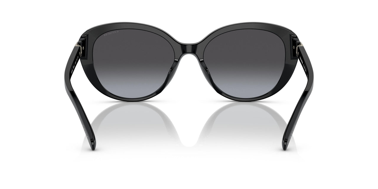 50028G - Black - Grey Gradient