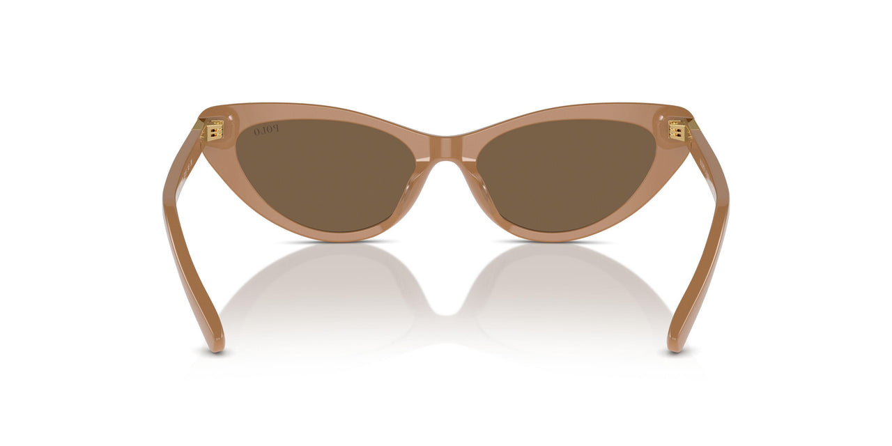 619673 - Brown - Dark Brown