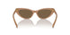619673 - Brown - Dark Brown