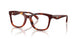 5938 - Tortoise