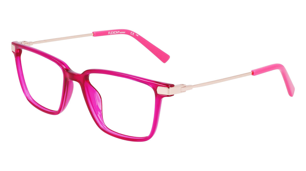 Flexon J4017 Eyeglasses