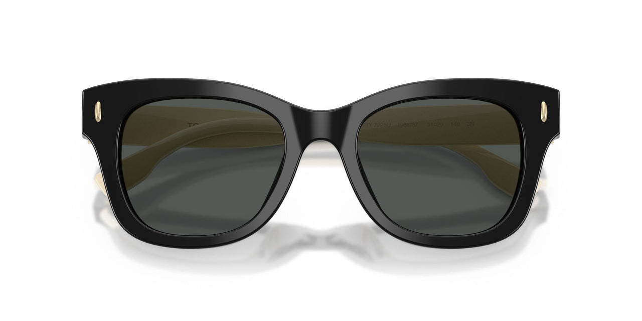 198887 - Black - Dark Grey