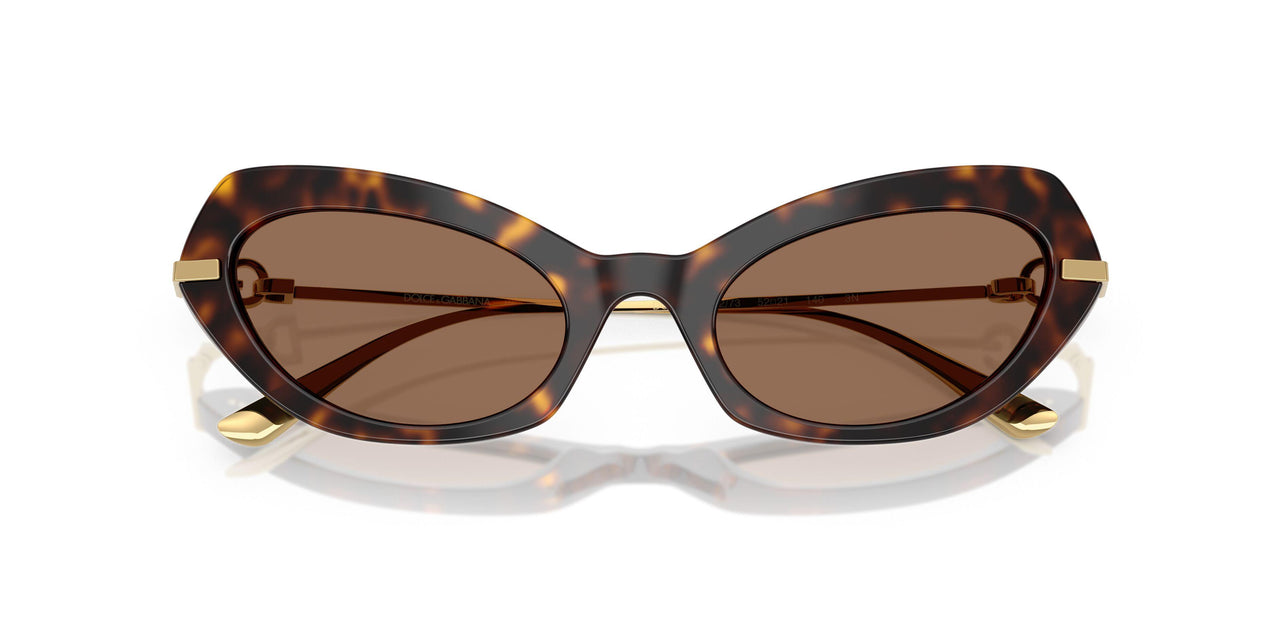 502/73 - Tortoise - Dark Brown