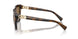 2386T5 - Brown - Gradient Brown Polarized