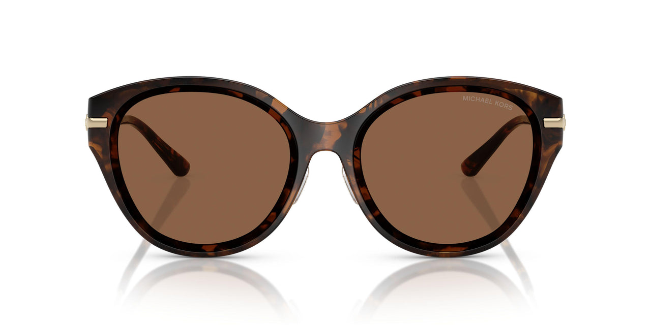 30063G - Tortoise - Dark Brown Solid