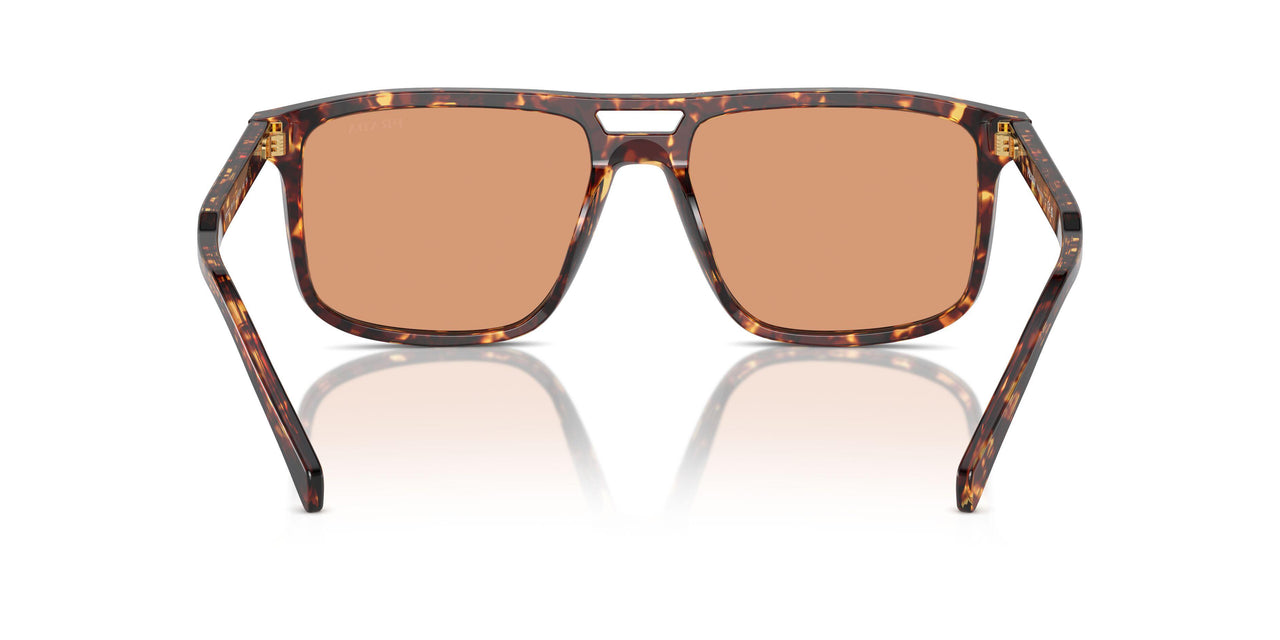 14O07V - Tortoise - Orange
