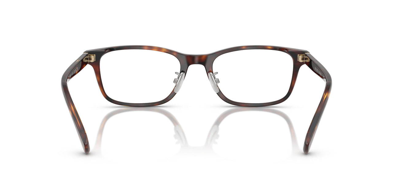6137 - Tortoise