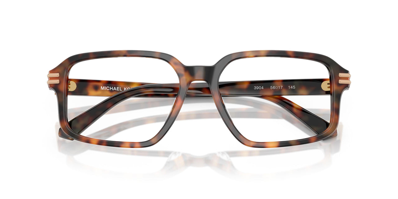 3904 - Tortoise