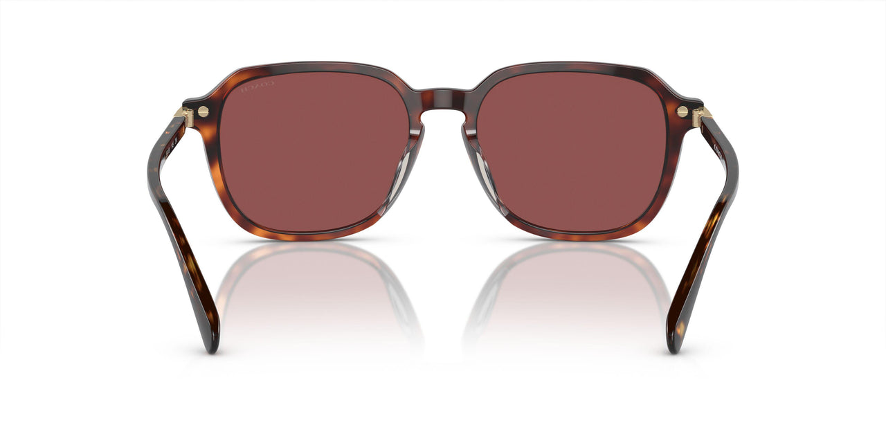 579875 - Dark Tortoise/caramel Tortoise - Violet
