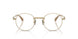 10242C - Gold - Gradient Brown