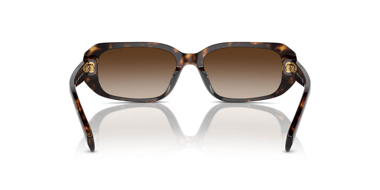 500313 - Brown - Gradient Brown