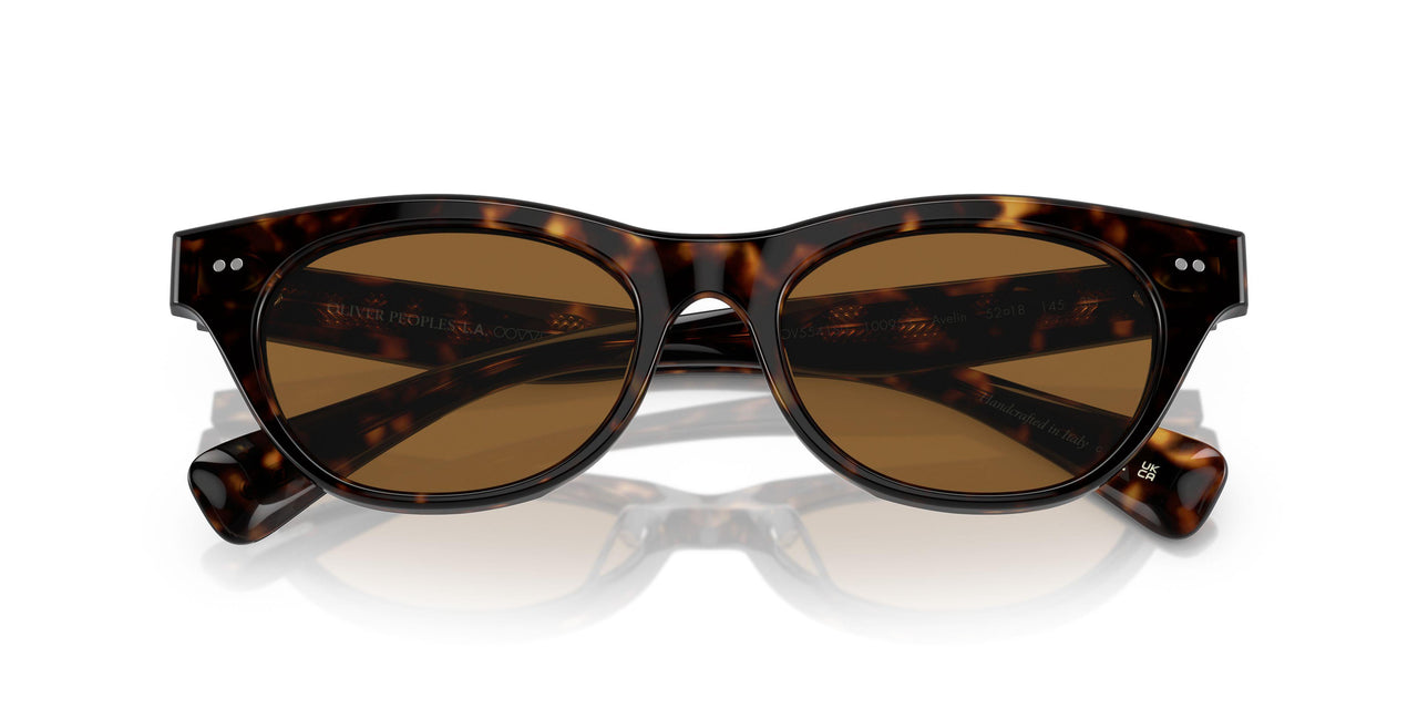 100953 - Tortoise - True Brown