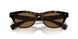 100953 - Tortoise - True Brown