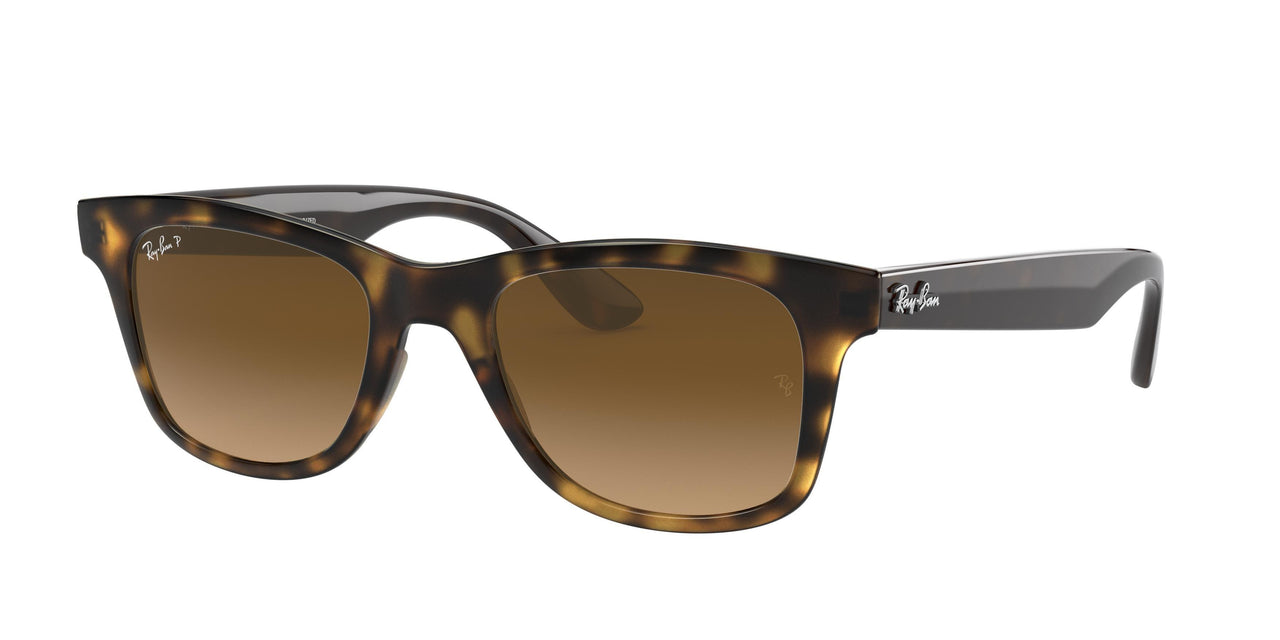 710/M2 - Havana - Gradient Brown Polar