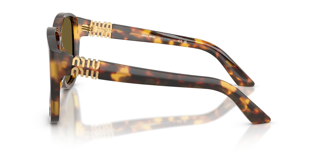 14L09Z - Tortoise - Dark Brown