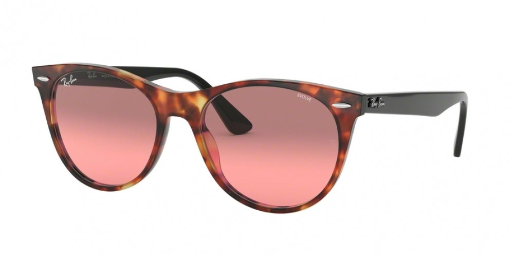 Ray-Ban Wayfarer Ii 2185 Sunglasses
