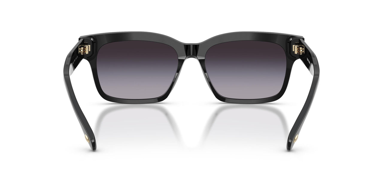 17098G - Black - Grey Gradient