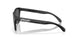 950301 - Black - Prizm Black