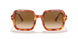 130051 - Red - Clear Gradient Brown