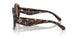 196473 - Tortoise - Brown
