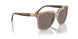 29407N - Brown - Violet
