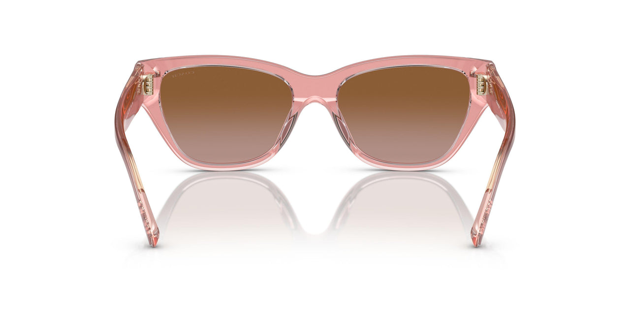 574313 - Pink - Brown Gradient