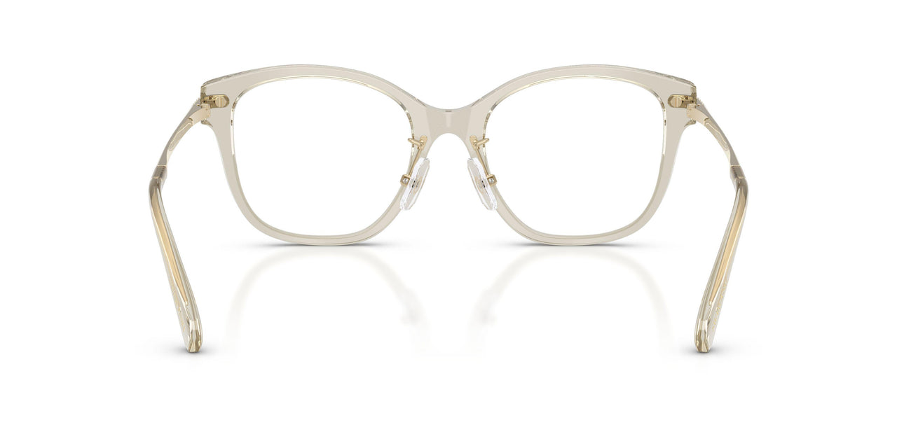 3003 - Brown