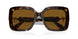 100283 - Tortoise - Polarized Brown