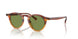 175452 - Brown - Green C