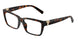 8015 - Tortoise