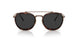 801648 - Brown - Polar Black + Ar