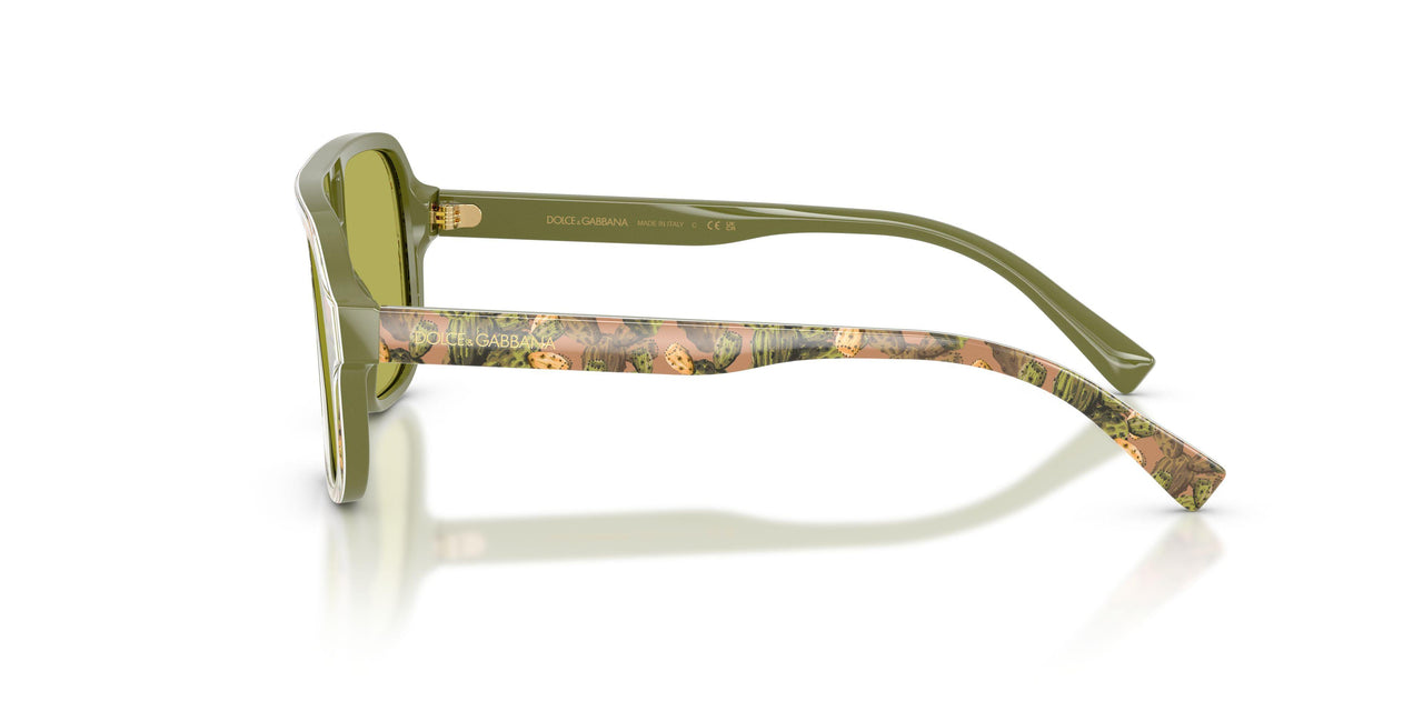 3488/2 - Multicolor - Green