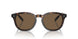 500373 - Brown - Brown