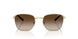 848/13 - Gold - Brown Gradient