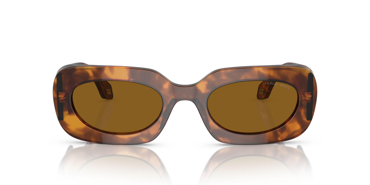598833 - Red - Brown