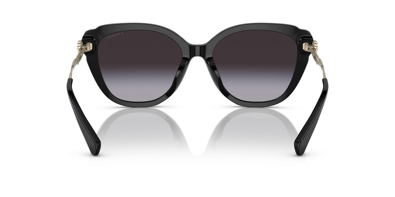 50028G - Black - Grey Gradient
