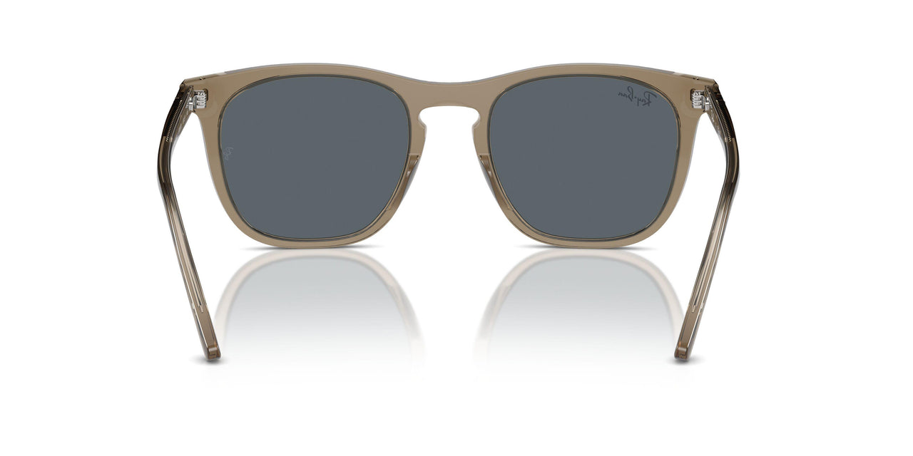 6765R5 - Brown - Blue