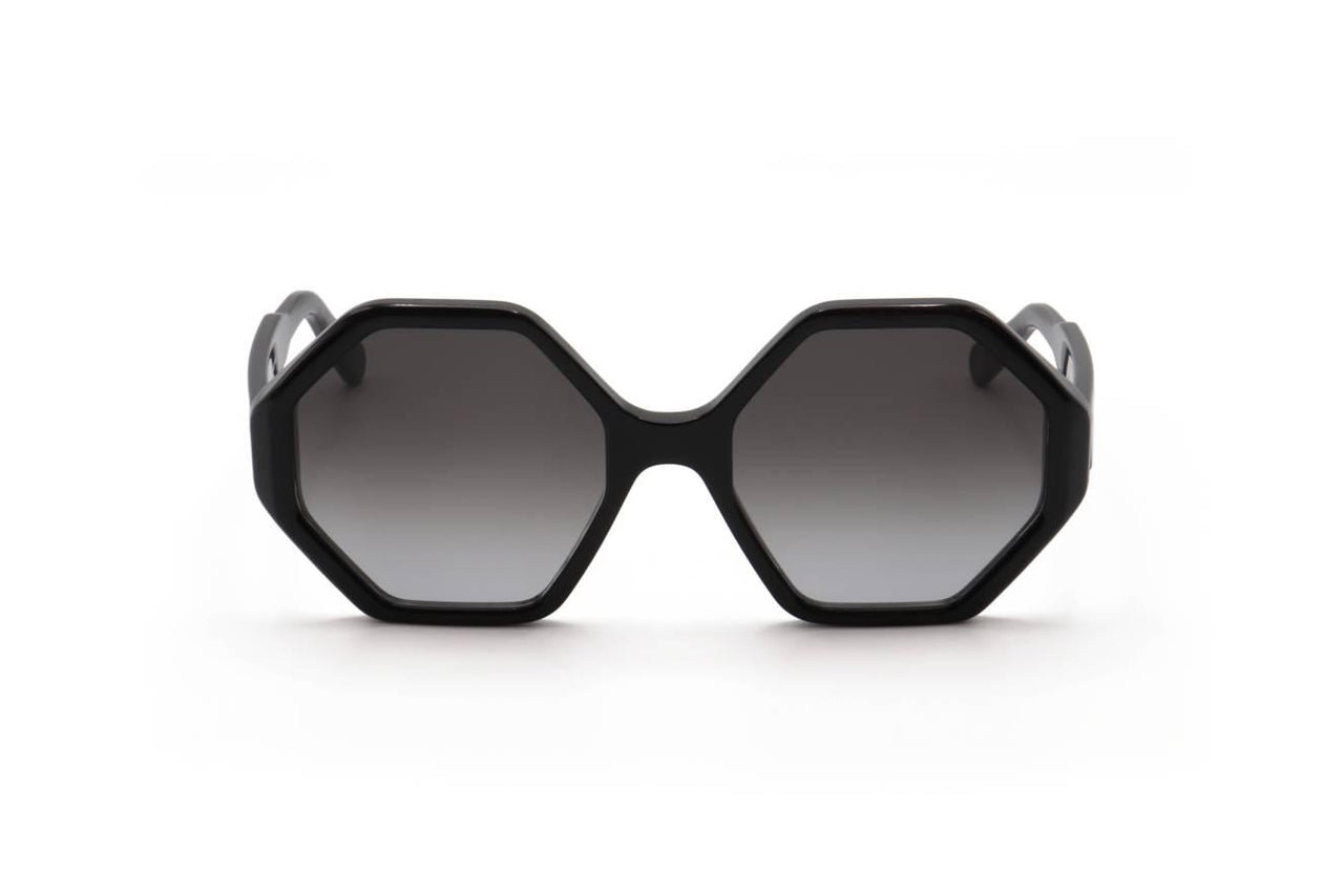 Ferragamo SF1070S Sunglasses