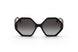 Ferragamo SF1070S Sunglasses