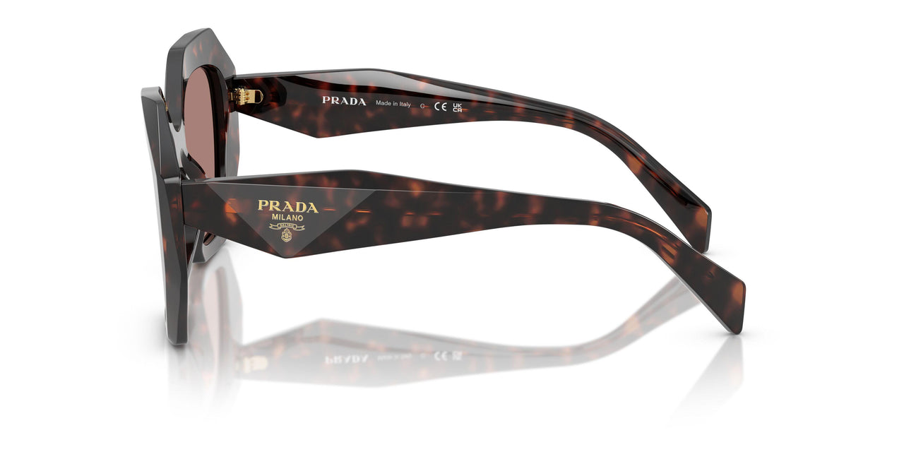 17N60B - Tortoise - Light Brown