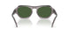 340071 - Grey - Green