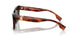 331671 - Tortoise - Dark Green