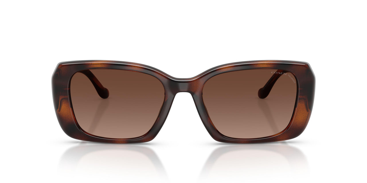 5120T5 - Tortoise - Brown Gradient Polar