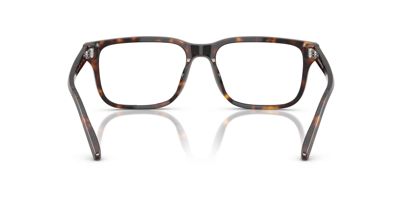 5026 - Tortoise
