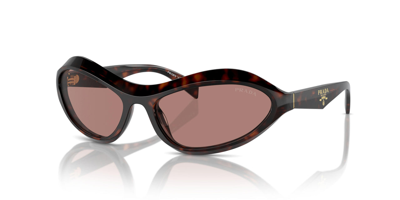 17N10D - Tortoise - Light Brown