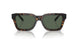 122271 - Brown - Dark Green