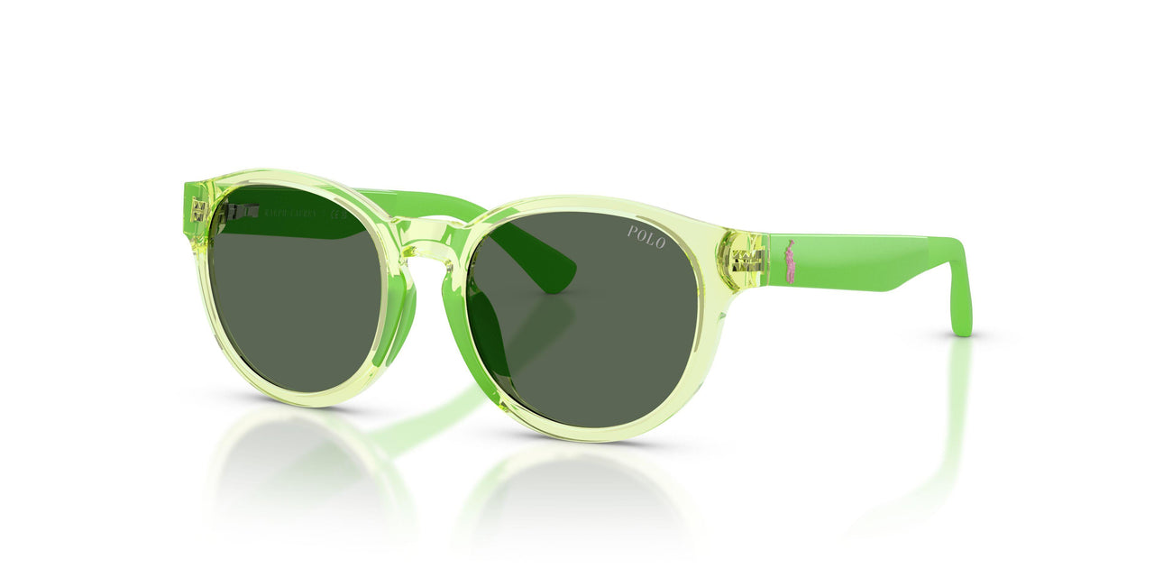 636571 - Green - Dark Green